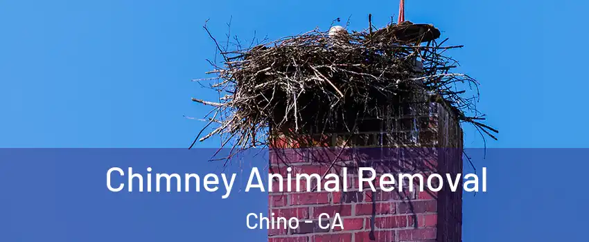  Chimney Animal Removal Chino - CA