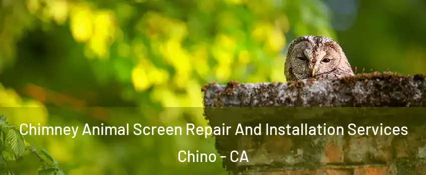 Chimney Animal Screen Repair And Installation Services Chino - CA