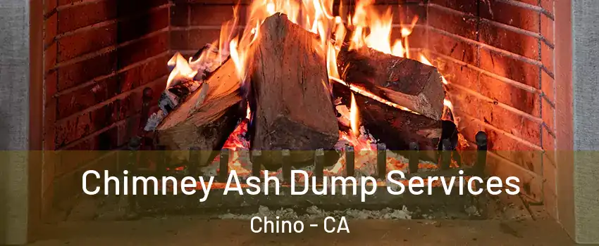  Chimney Ash Dump Services Chino - CA