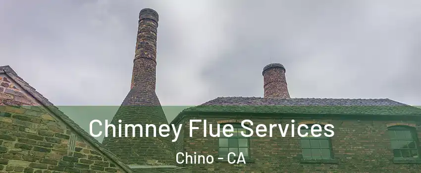  Chimney Flue Services Chino - CA