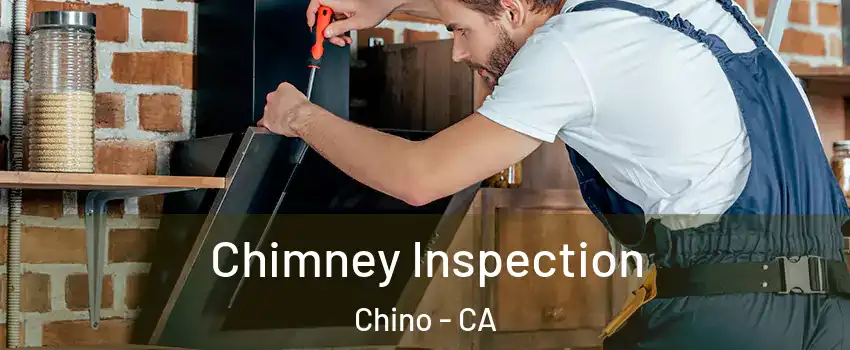  Chimney Inspection Chino - CA