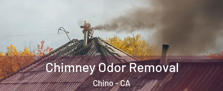  Chimney Odor Removal Chino - CA