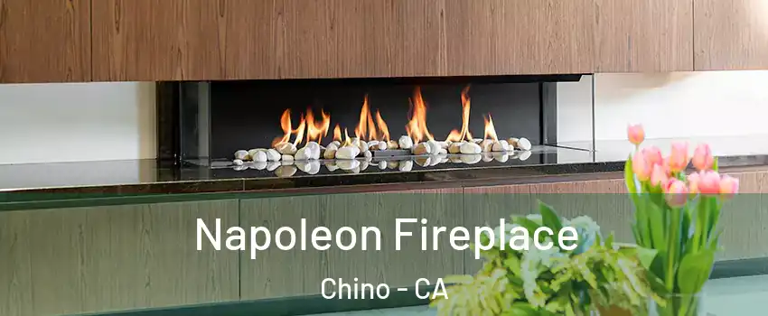  Napoleon Fireplace Chino - CA
